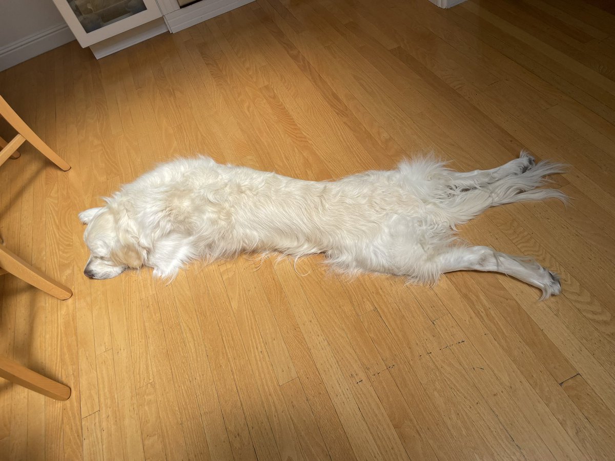 am an extra long noodle today