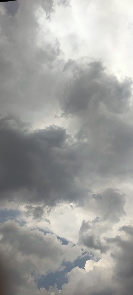 onetiponehand_'s tweet photo. Asli april fool toh bhopal ka mausam mana raha hai poore mahine se😡 #TeamSummers https://t.co/LVPf8eh2OK