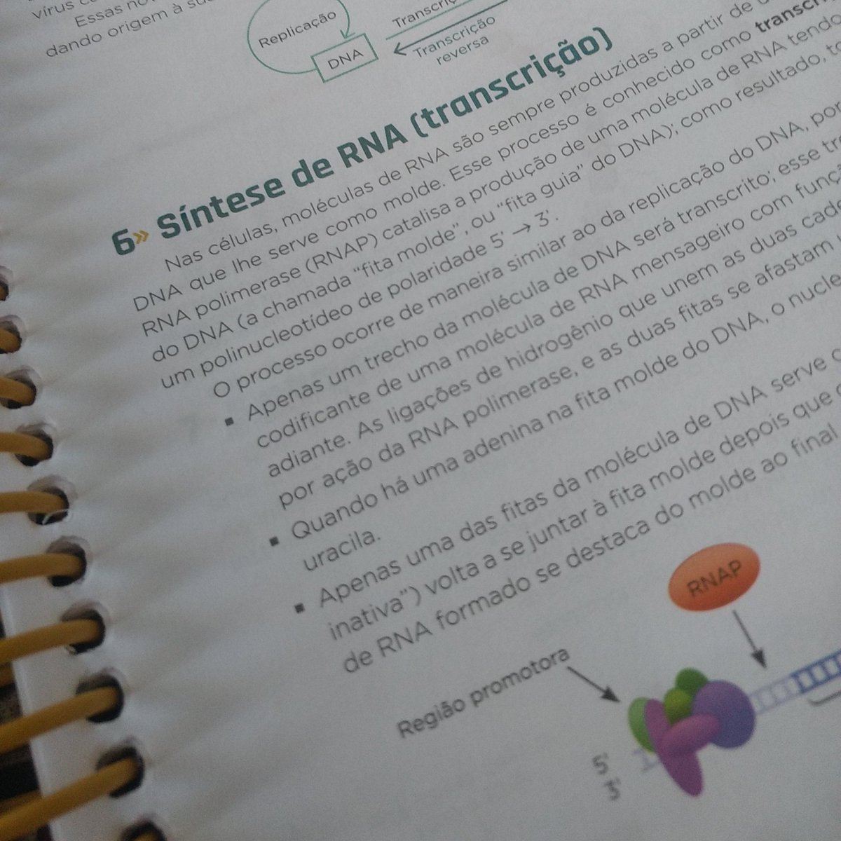 flavstudytt's tweet image. terminado esse assunto!!! mas sinto que não rendi tão bem quanto achei que deveria, mas seguiremos