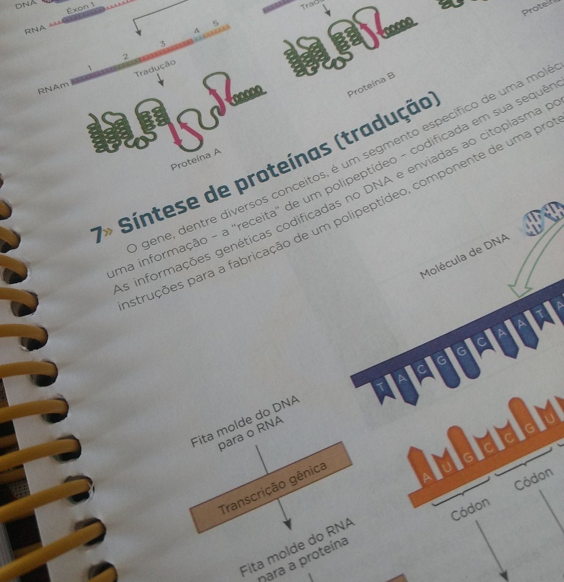 flavstudytt's tweet image. terminado esse assunto!!! mas sinto que não rendi tão bem quanto achei que deveria, mas seguiremos