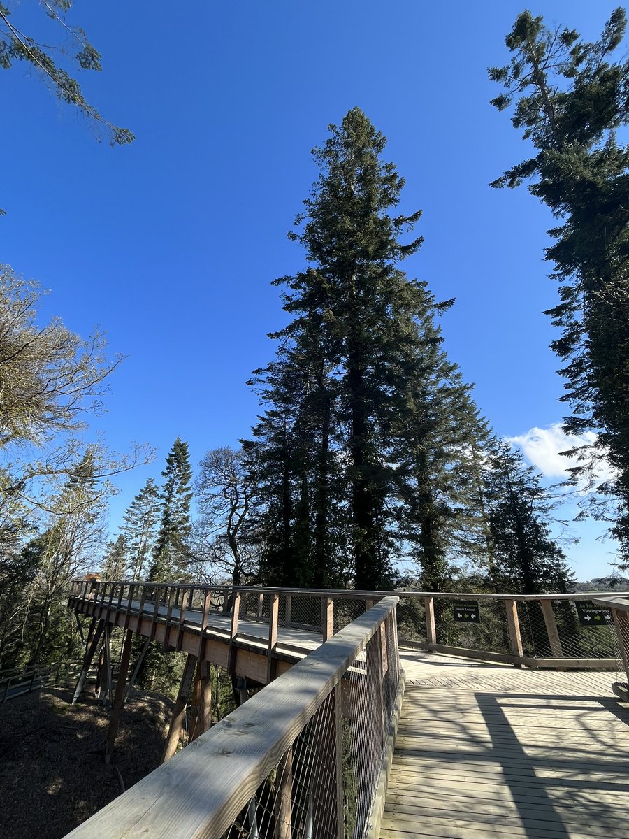 AvondaleBeyond's tweet photo. Blue skies
Perfect day to explore the Treetop Walk at Avondale Forest Park
Tickets available at the visitor centre on arrival, alternatively pre-book online in advance
https://t.co/Zc0SoauxER
#treetopwalk #outdoors #avondaleforestpark #accessible #visitwicklow #visitarklow https://t.co/Px313PZJN3