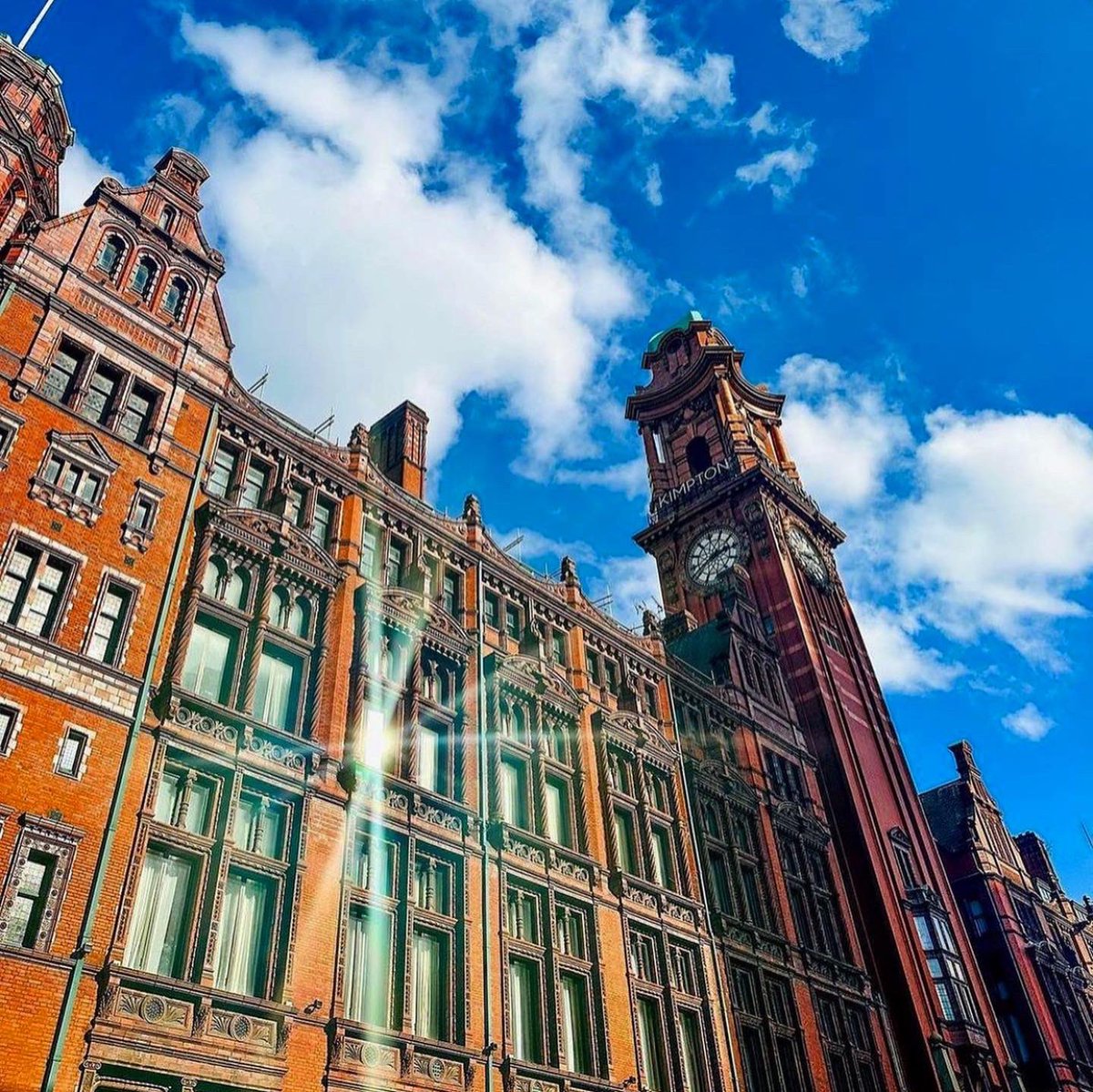 Pasta Paul tweet media