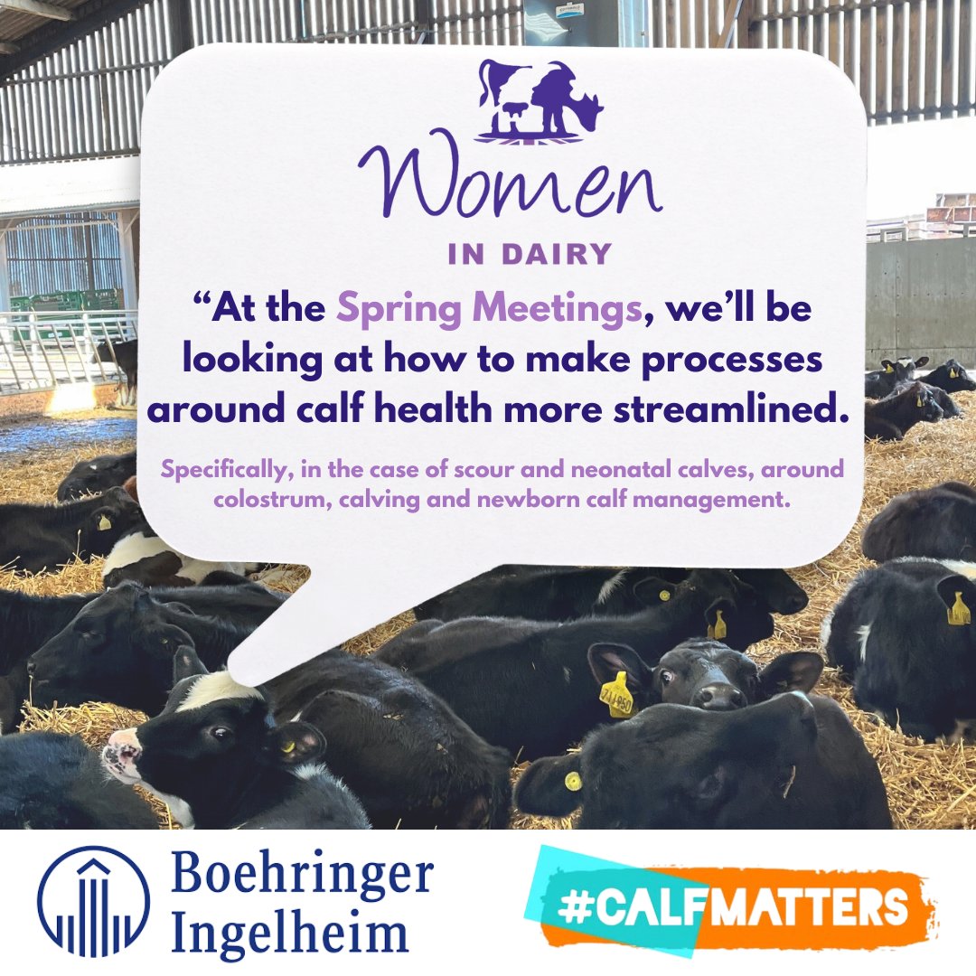 WomenInDairy tweet media