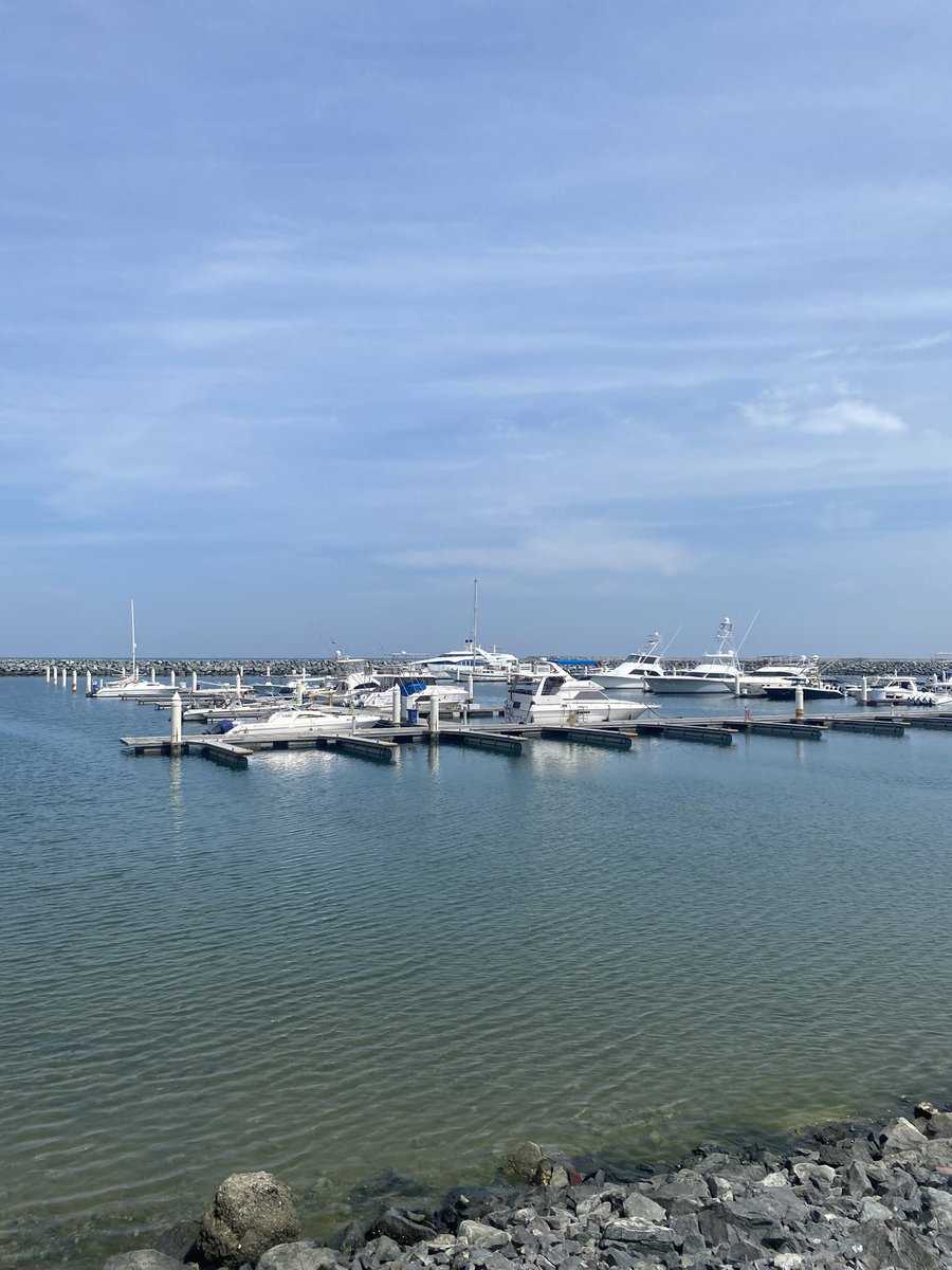 Millie 🍭 tweet media