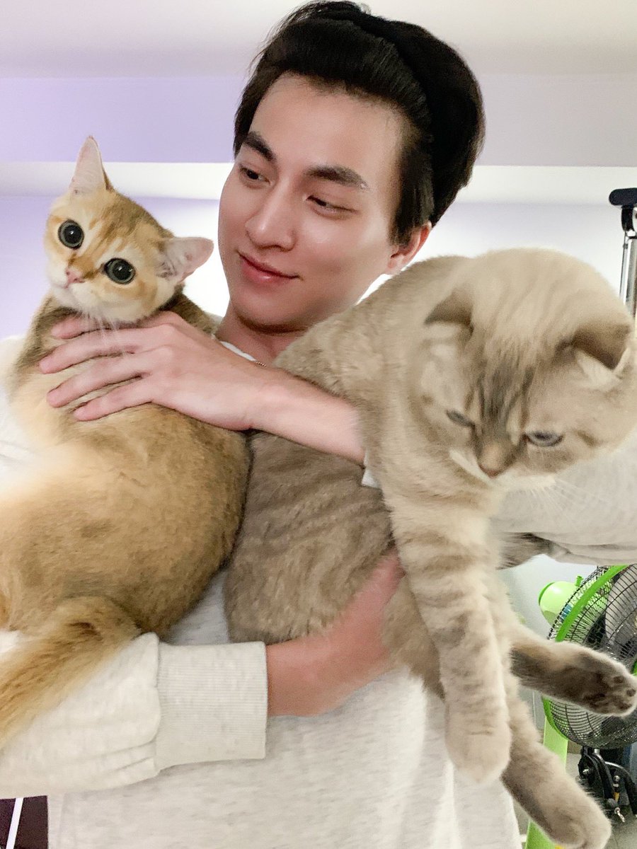 MKGloveinfinity's tweet photo. ดูแล้วก็องเต้น่าจะอ้อนป๊ะป๋ากลัฟเก่งกว่าพี่ซาร์เนอะ คลอเคลียๆไม่ห่างเลย  ใดๆไม่เคยอยากเกิดเป็นแมวเท่าวันนี้เลยจริงๆ  5555

@gulfkanawut 
#GulfKanawut 
#น้องอาซาร์ของพี่กลัฟ https://t.co/KFCDHMlLbZ