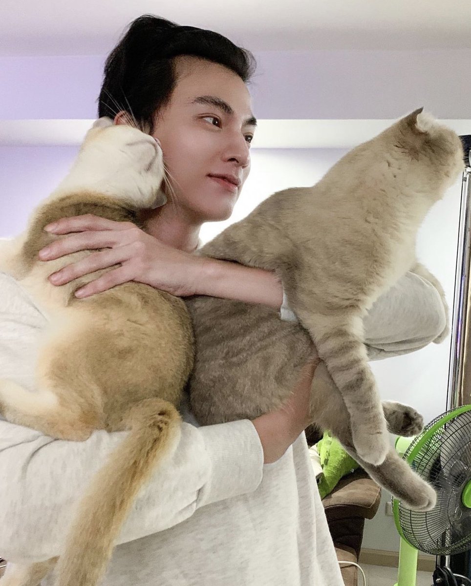 MKGloveinfinity's tweet photo. ดูแล้วก็องเต้น่าจะอ้อนป๊ะป๋ากลัฟเก่งกว่าพี่ซาร์เนอะ คลอเคลียๆไม่ห่างเลย  ใดๆไม่เคยอยากเกิดเป็นแมวเท่าวันนี้เลยจริงๆ  5555

@gulfkanawut 
#GulfKanawut 
#น้องอาซาร์ของพี่กลัฟ https://t.co/KFCDHMlLbZ