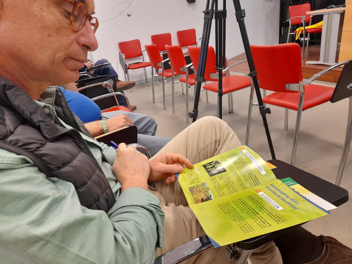 LIFEforCitrus's tweet photo. #Hoy 📸 Divulgación de la problemática del #HLB en el ámbito urbano en 📍 Lebrija (Sevilla)

🎯 Objetivo: Replicación de acciones

👀👉https://t.co/shcReVXJ0I  #LifeVidaForCitrus https://t.co/SudqU54xvi
