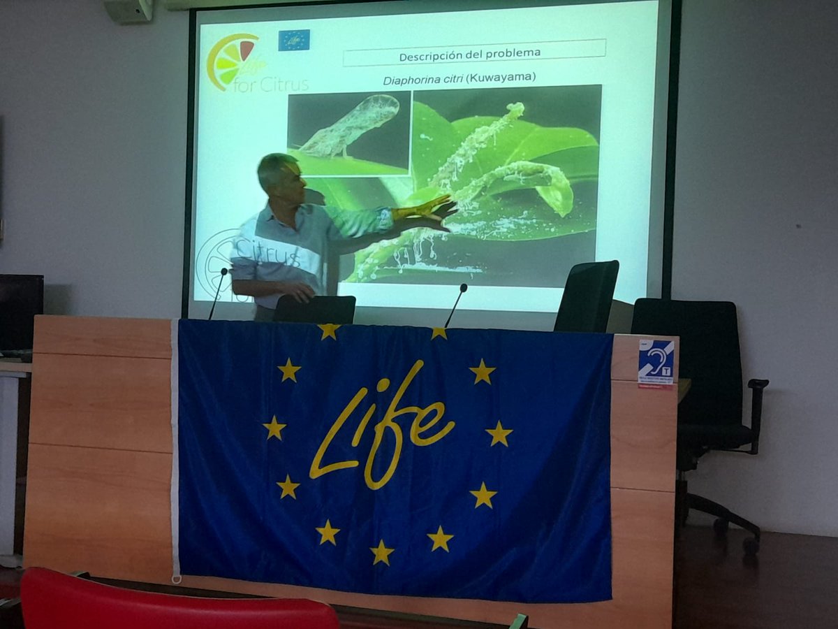 LIFEforCitrus's tweet photo. #Hoy 📸 Divulgación de la problemática del #HLB en el ámbito urbano en 📍 Lebrija (Sevilla)

🎯 Objetivo: Replicación de acciones

👀👉https://t.co/shcReVXJ0I  #LifeVidaForCitrus https://t.co/SudqU54xvi