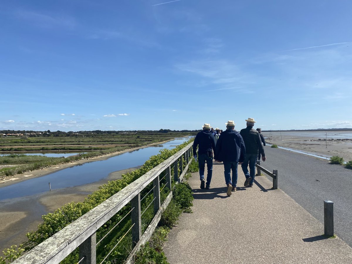 FdGroupama85 tweet media