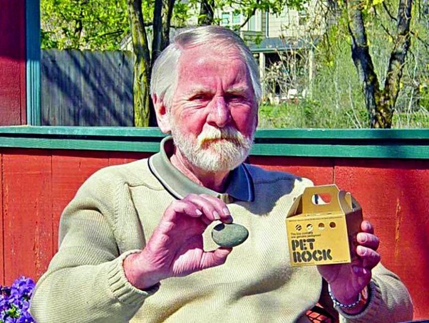 If you think startup ideas are more important than execution just remember Gary Dahl became a millionaire selling pet rocks.