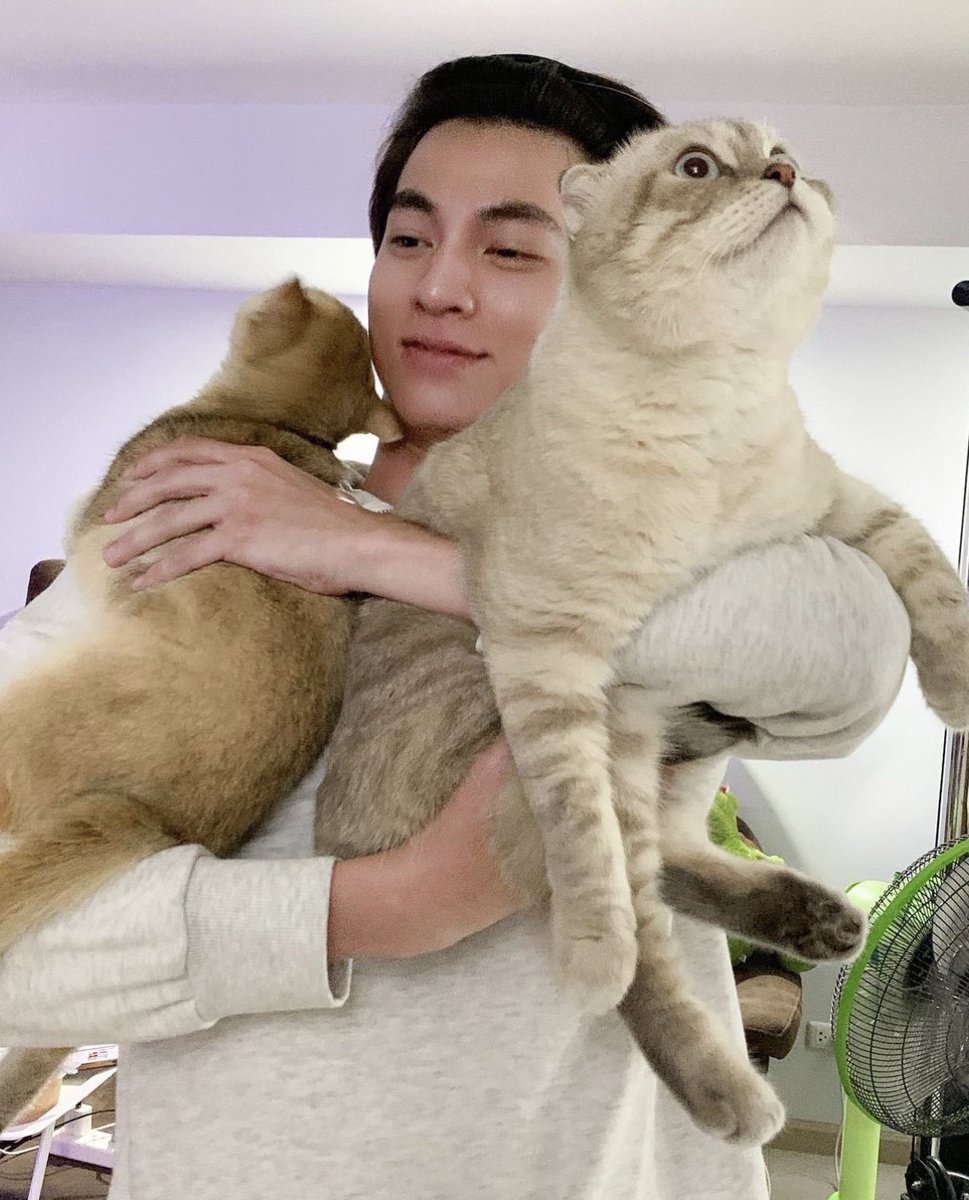 MKGloveinfinity's tweet photo. ดูแล้วก็องเต้น่าจะอ้อนป๊ะป๋ากลัฟเก่งกว่าพี่ซาร์เนอะ คลอเคลียๆไม่ห่างเลย  ใดๆไม่เคยอยากเกิดเป็นแมวเท่าวันนี้เลยจริงๆ  5555

@gulfkanawut 
#GulfKanawut 
#น้องอาซาร์ของพี่กลัฟ https://t.co/KFCDHMlLbZ