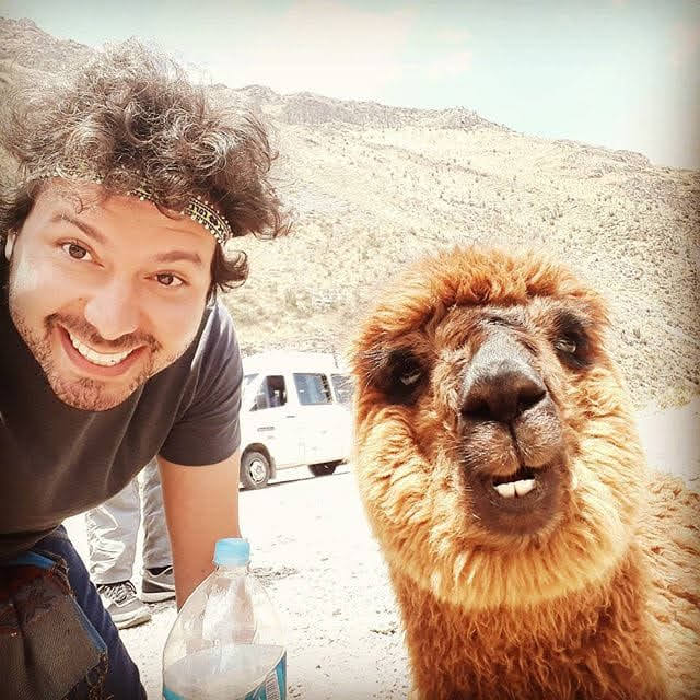 $ok_display tweet media