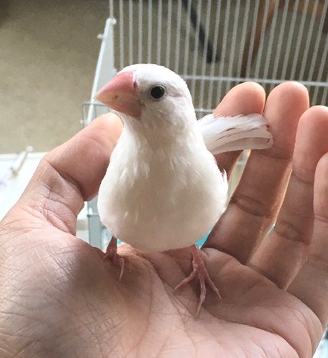 Ei9fNr's tweet photo. He's very cute🐣
He makes me feel happy😃 https://t.co/SDZDoRUNhe