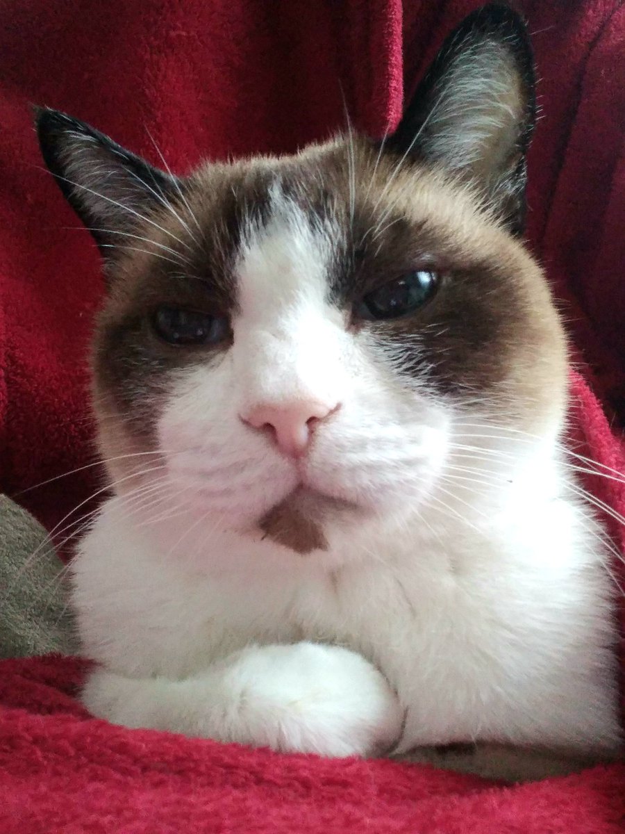 Bom dia frioooo 🤧🤧 
13 graus em Brusque-SC 🤍