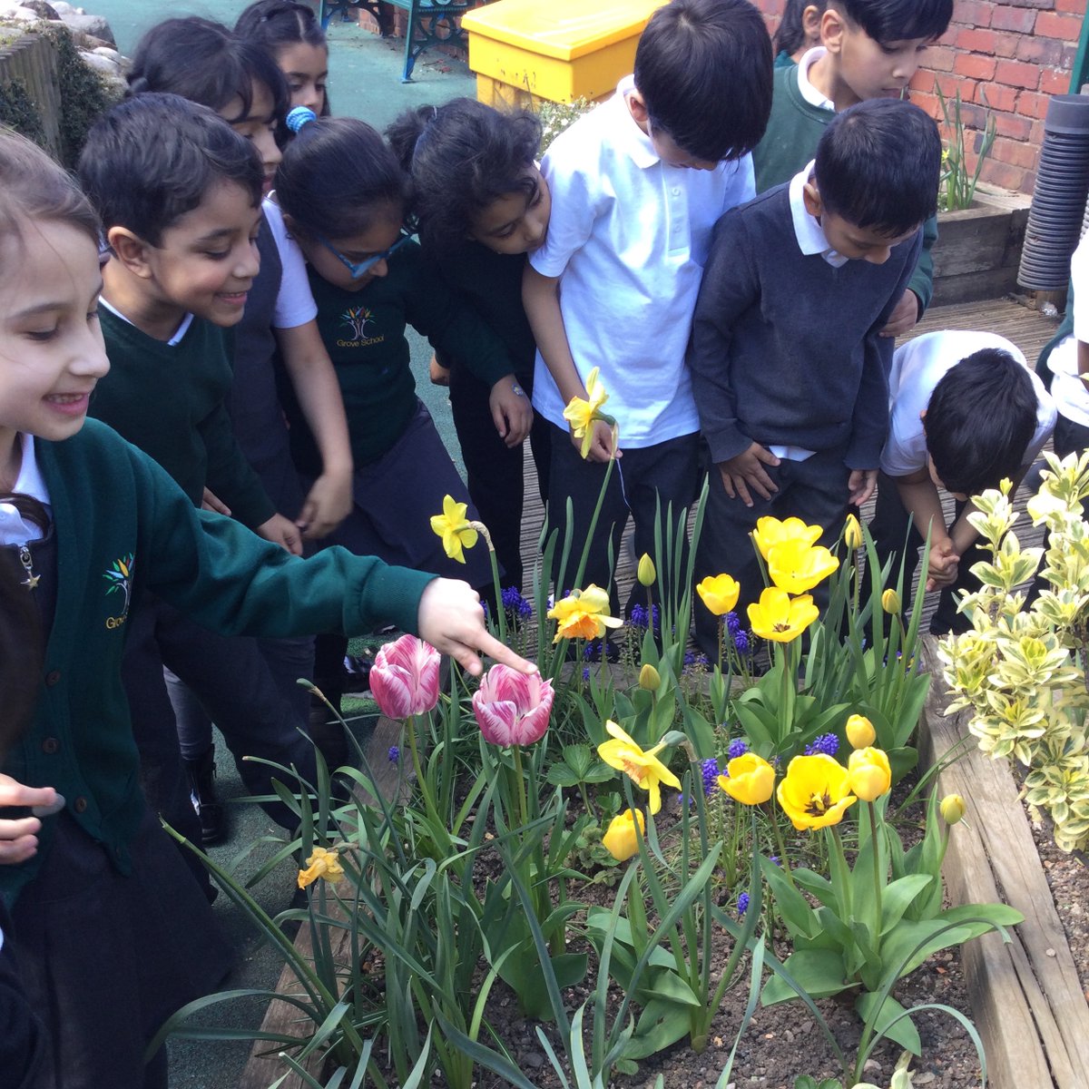 Year 1 are  becoming plant detectives this half term! We are getting to know the flowering plants around school and  describing  their  structure  as part of our science topic.  The  tulips  are one  of  our  favourites!  🌺🌼🌻🌸🌷🌹