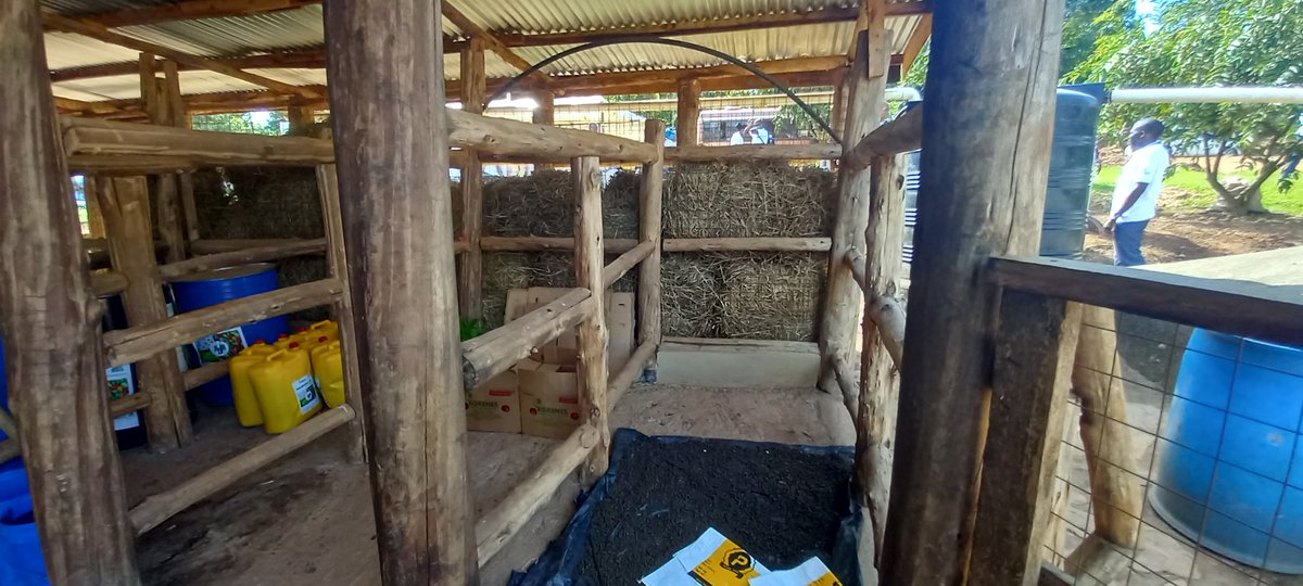 kasozinasser's tweet image. Glad to learn about the Dairy farm innovation hub in Mityana, which is supported by @OacpsProgramme under the #AIRTEA project funded by  European union. Technologies such as charcoal briquettes from Biogas,  hay,  feed pellets, silage, drought tolerant cowshed.