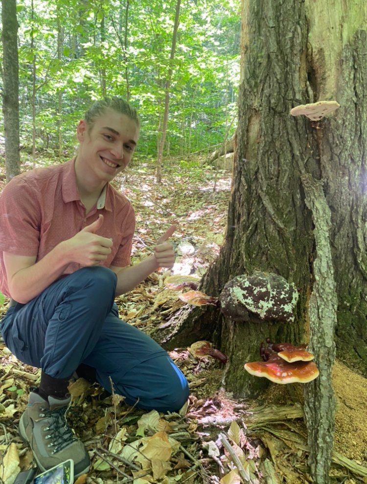 LVCEnvi's tweet image. Come see Jake Beidler defend their Honor's Thesis at noon today in NG-142!  "Light, Invasives and Deer, Oh My! Exploring the impacts of herbivory and resource augmentation on native herbaceous communities." #LVCEnvi #LVCResearch