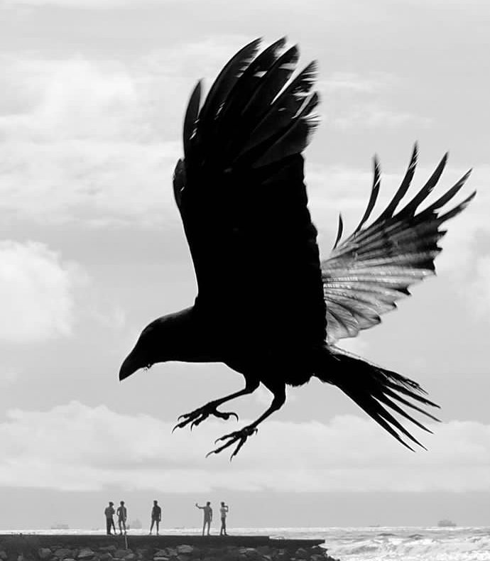 prazzlearts's tweet photo. "flying boys"
Photographed by @dimpybhalotia
#blackandwhite #streetphotographer #StreetArt #StreetArt #thestreetphotographyhub #bnwphotography
#photooftheday #friendsinstreet https://t.co/ygIijbpePj