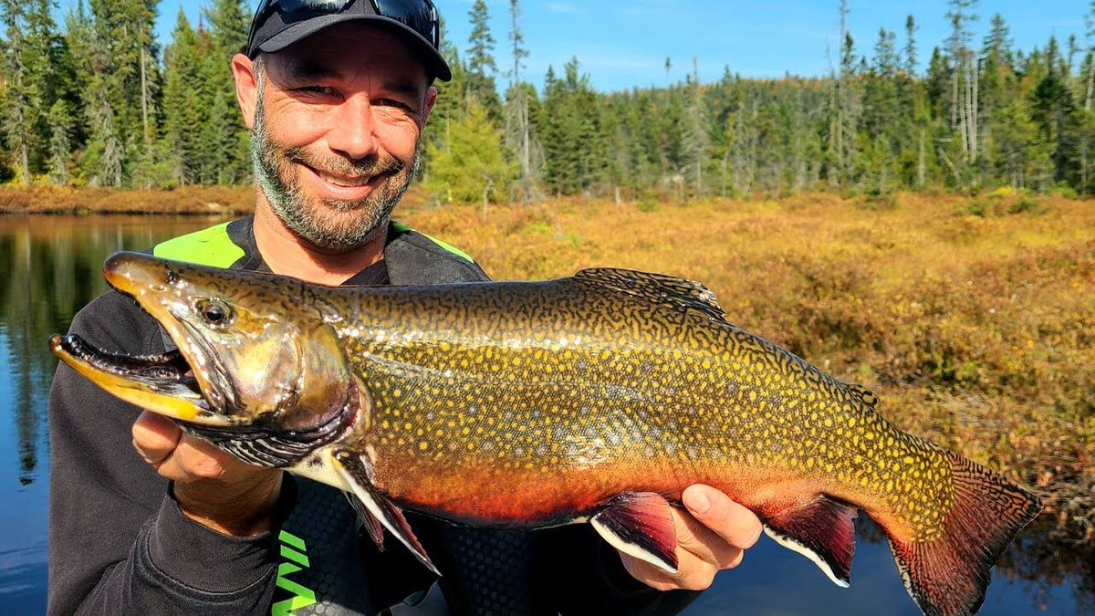 MartinBourget's tweet photo. Conseils de pêche à la truite mouchetée printanière
Martin nous parle des équipements et techniques pour la pêche à la truite mouchetée printanière.
https://t.co/3932Tl9gBA
#orignal #orignaux #embarcation #pêche #pêcheur #bateaudeplaisance #bateau #bateaudepeche https://t.co/fxKZAiYgOd