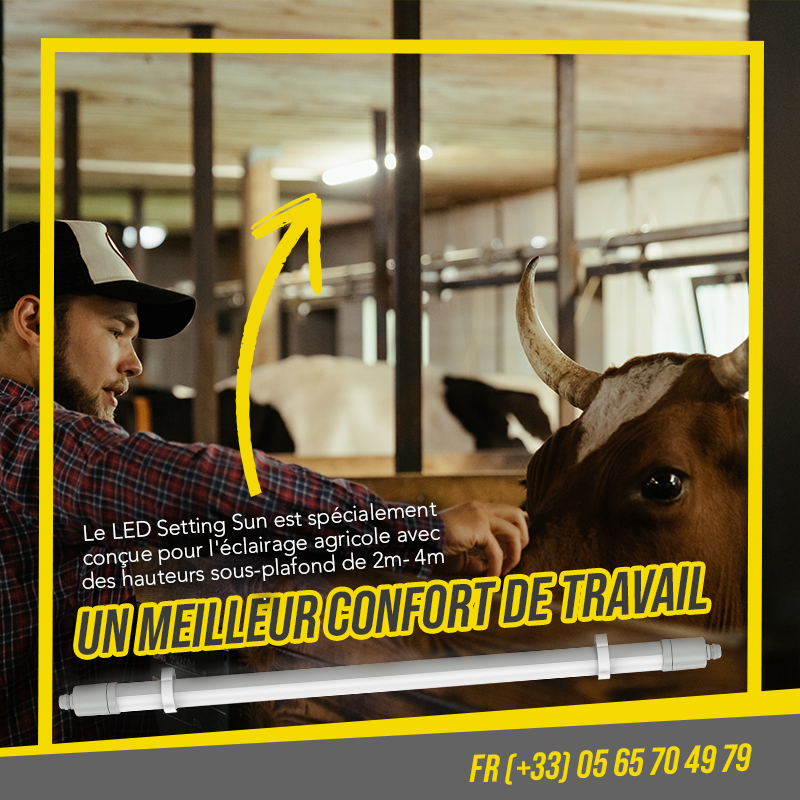TeamVisionaute's tweet photo. 👨‍🌾🐄 Un meilleur confort de travail 🎑
LED de plus de 50 000 heures 👏Garantie 5 ans, évite de prévoir du relamping trop fréquemment. Pour un meilleur confort de travail!

#agrivideosytem #teamvisionaute #groupevisionaute #elevage #agriculture #agriculture365 #sereniteagricole https://t.co/laZj027nFY