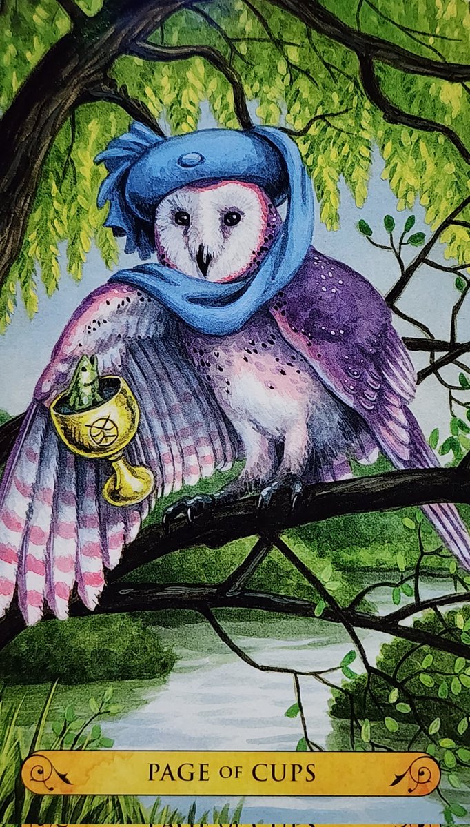 cardsandrocks's tweet photo. Air signs: Gemini ♊️ Libra ♎️ Aquarius ♒️ 
Card of the day: Page of Cups 💧 Starting something new can be exciting and nerve-wracking. Instead of reacting, tune in to what you are feeling. Always follow your intuition.
#tarot #tarotoftheowls 🦉 https://t.co/Yzre4JqOlH