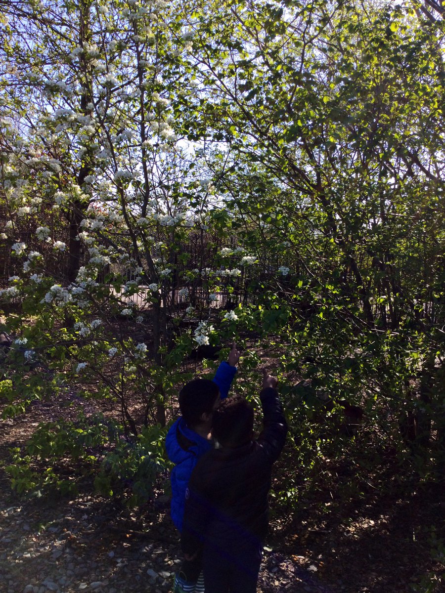 LittleForestNu2's tweet photo. The first signs of spring in forest school! 🌲 🌸 🐛 https://t.co/gMOfHDf2oT
