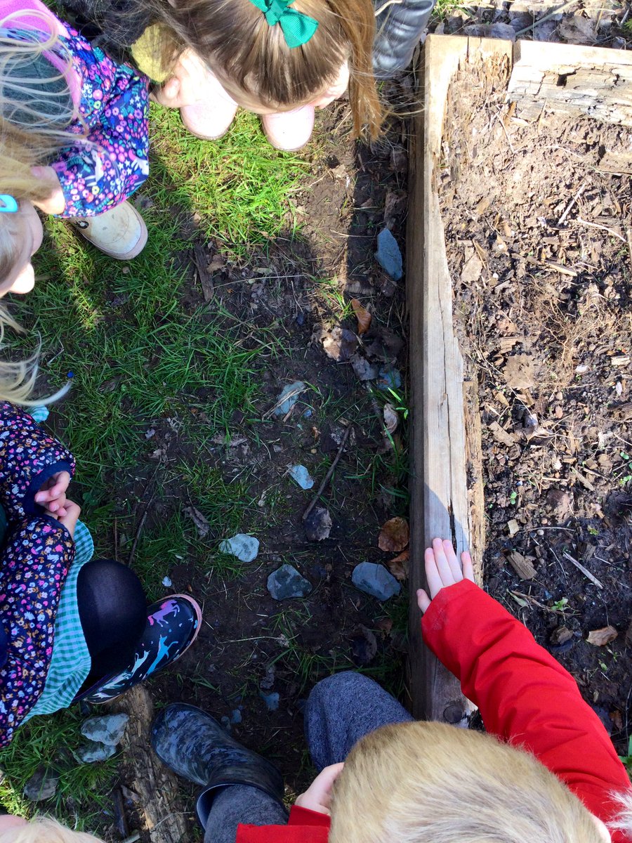 LittleForestNu2's tweet photo. The first signs of spring in forest school! 🌲 🌸 🐛 https://t.co/gMOfHDf2oT