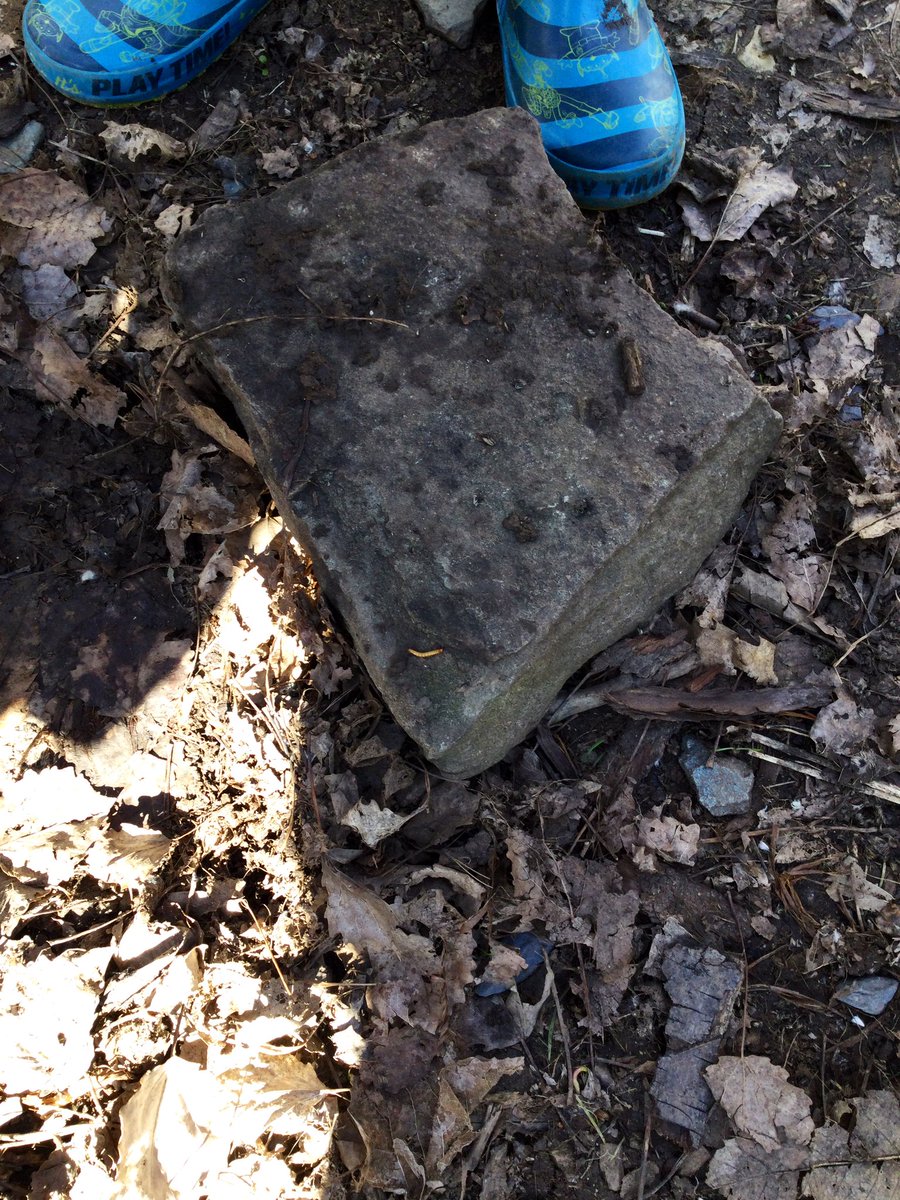 LittleForestNu2's tweet photo. The first signs of spring in forest school! 🌲 🌸 🐛 https://t.co/gMOfHDf2oT