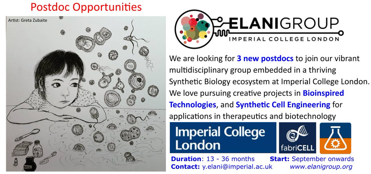 Yuval Elani (@yuvalelani) on Twitter photo We have 3 postdoc vacancies in Bioinspired Technologies & Synthetic Cells in our group <a href="/ImperialChemEng/">Imperial ChemEng</a>. Projects are at the cutting edge of microfluidics, SynCells, membrane engineering & BioHybrid design. Adverts to follow. Interested? Get in touch! RT massively appreciated! We have 3 postdoc vacancies in Bioinspired Technologies & Synthetic Cells in our group <a href="/ImperialChemEng/">Imperial ChemEng</a>. Projects are at the cutting edge of microfluidics, SynCells, membrane engineering & BioHybrid design. Adverts to follow. Interested? Get in touch! RT massively appreciated!