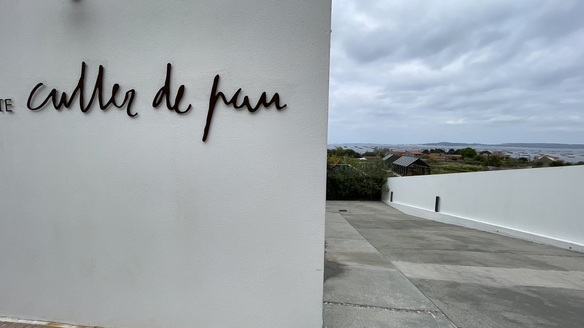sanchezagustino's tweet photo. #PDI #ALFIN #AMI #bescolaresgal #bibliotecacreativa E coma o noso proxecto titúlase “Da horta ao prato” @VozNatura hoxe visitamos @RestCullerdepau no Grove. Graciñas Javier Olleros (2 estrellas Michelín) pola acollida. Que luxo! Que equipo! Que horta! https://t.co/9gIp70a6IS