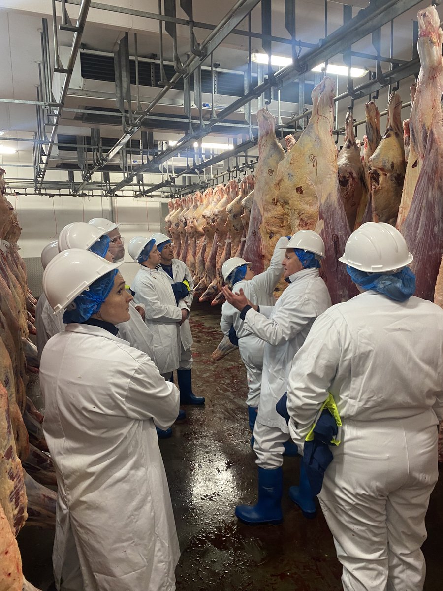 Elite Beef (@elitebeef) on Twitter photo Yesterday, our site at Colne hosted <a href="/AHDB_BeefLamb/">AHDB Beef & Lamb</a> at our Live to Dead day! Thank you to Steve Powdrill and Amy Hughes from AHDB for running the 'Marketing Best Practice' event!
Some key messages were:
✅Know your spec
✅Finished not fat
✅Consistency is key Yesterday, our site at Colne hosted <a href="/AHDB_BeefLamb/">AHDB Beef & Lamb</a> at our Live to Dead day! Thank you to Steve Powdrill and Amy Hughes from AHDB for running the 'Marketing Best Practice' event!
Some key messages were:
✅Know your spec
✅Finished not fat
✅Consistency is key
