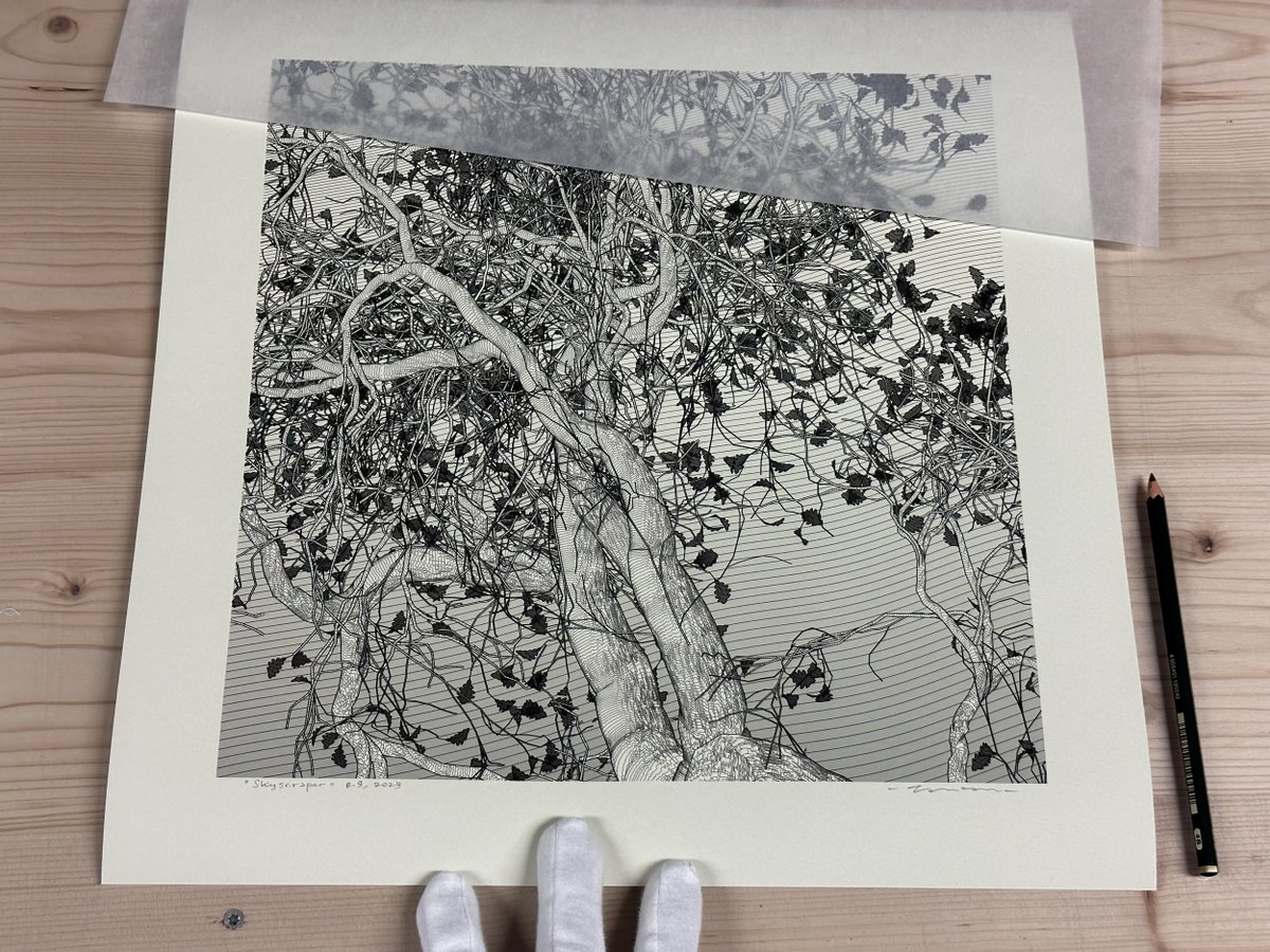 zancan's tweet photo. Fresh from the print shop, with the first Charcoal Seeds on paper ! 🌿
"Charcoal Seeds #12" for @CCDDBB 
"Charcoal Seeds #300" for @Dalos
"Skyscraper" gift to a friend by @Kyloren_NFT
"(kinder)Garden, Monuments #303" for @tyrexeth
🌞 https://t.co/jO07yYiv0j