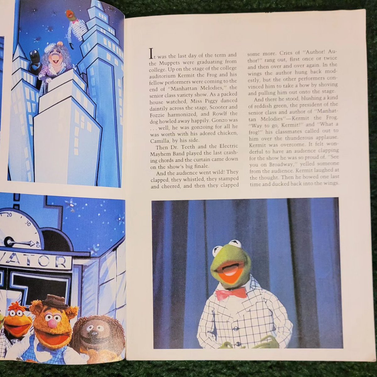 Maddox's Muppet Merchandise Museum on Twitter: