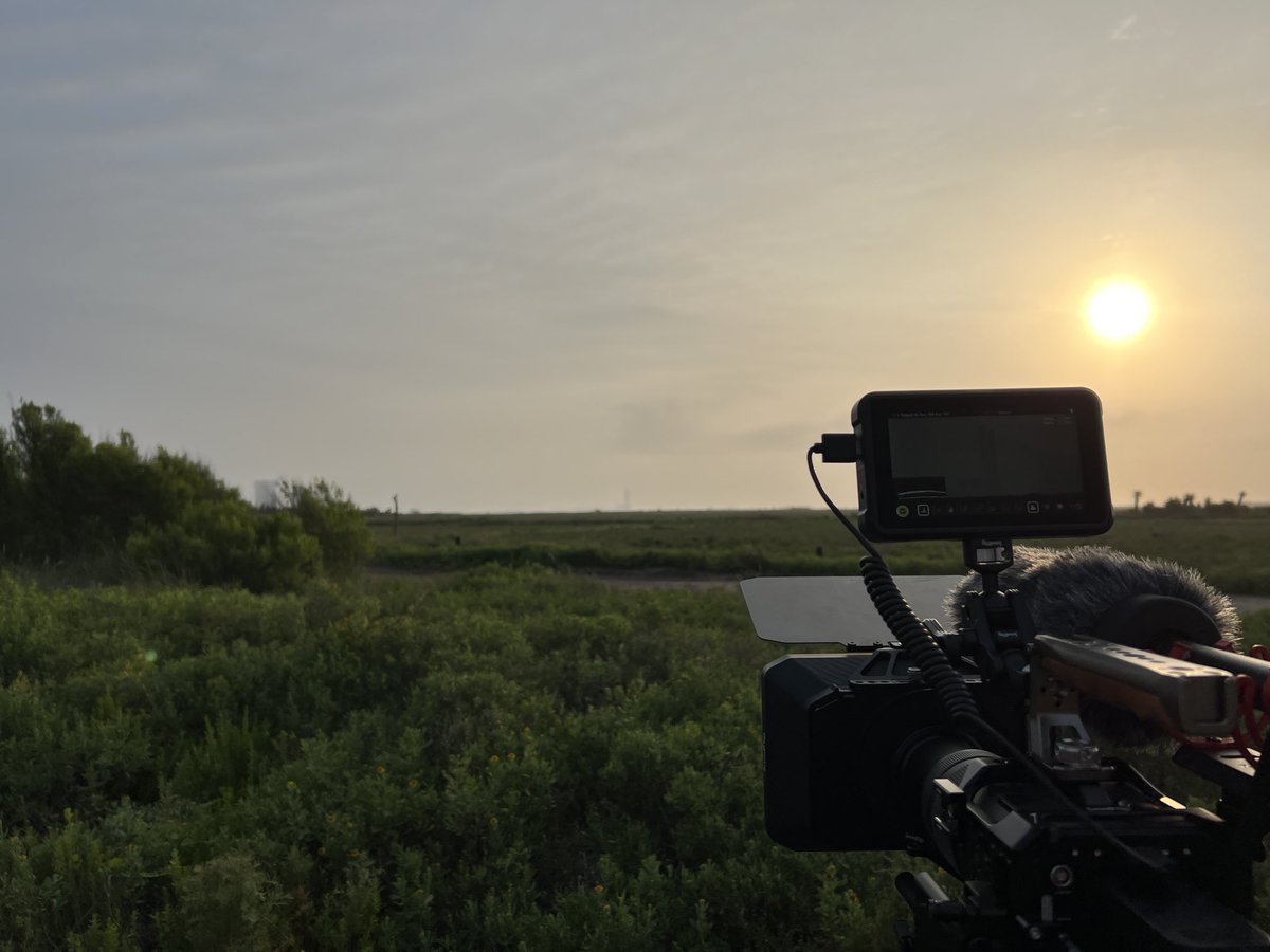 What about it!? tweet media