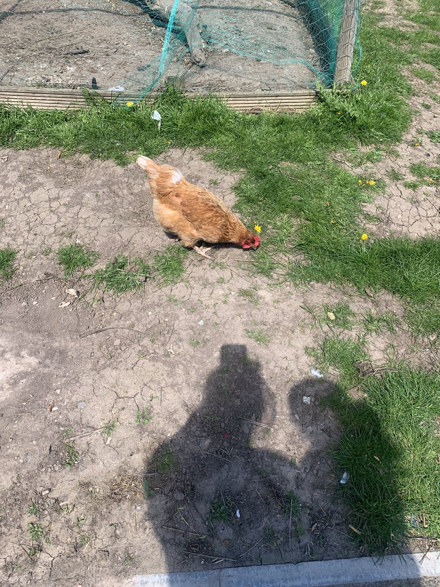 NorthWheatleyRubyClass tweet media