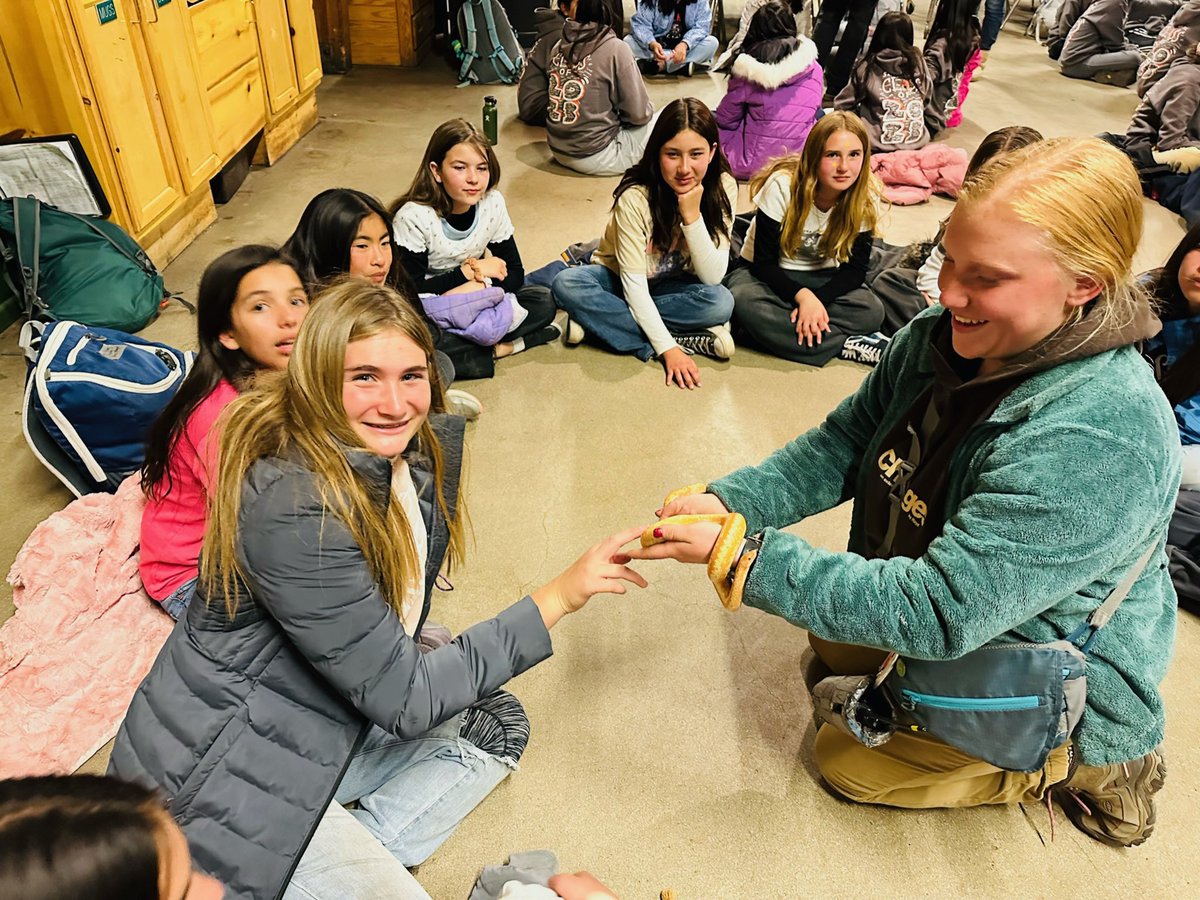 Davis Magnet School tweet media