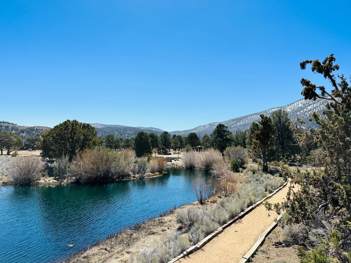 Davis Magnet School tweet media