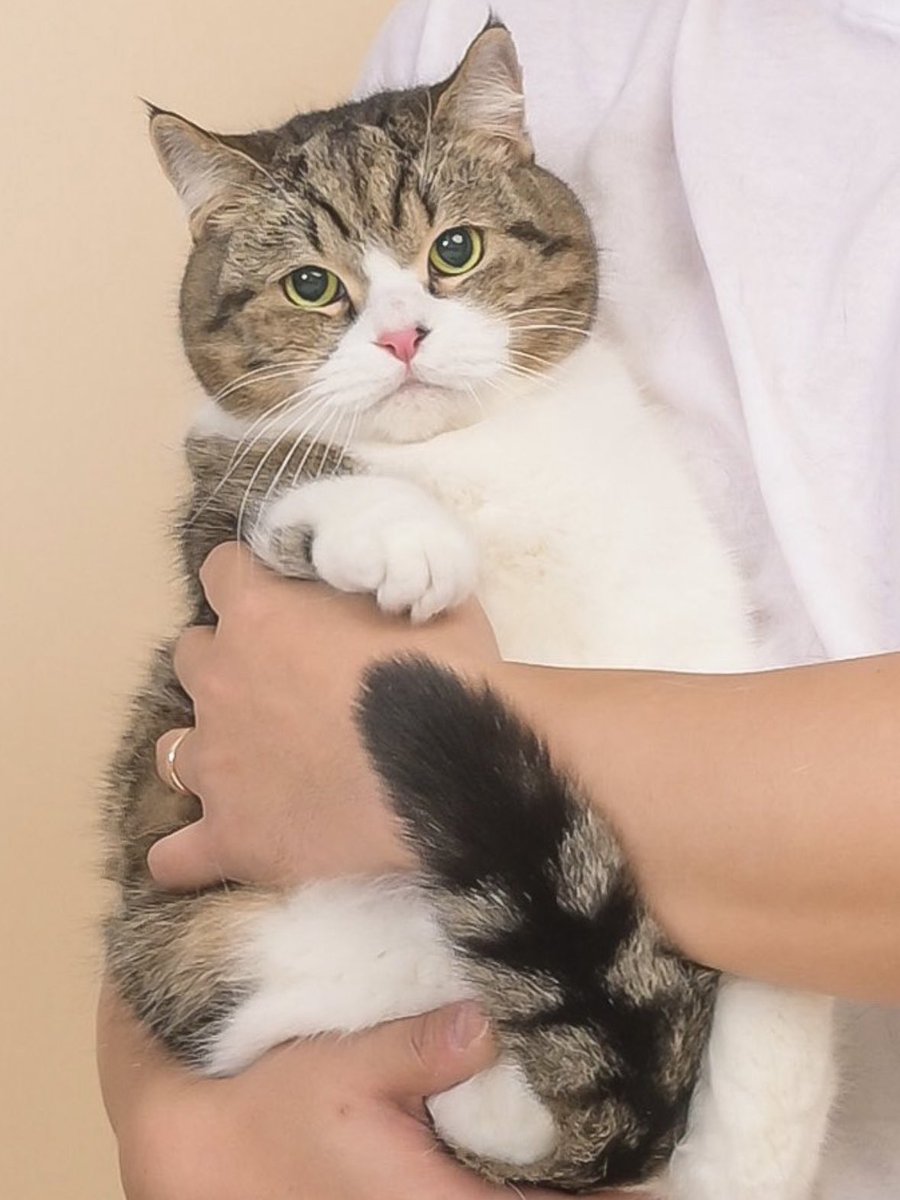 정배의 근황 가족사진을 찍었는데 세수도 안한 김정배 혼자 잘나왔다
이래서 잘생긴 애들이랑 사진 같이 찍으면 안된다니까