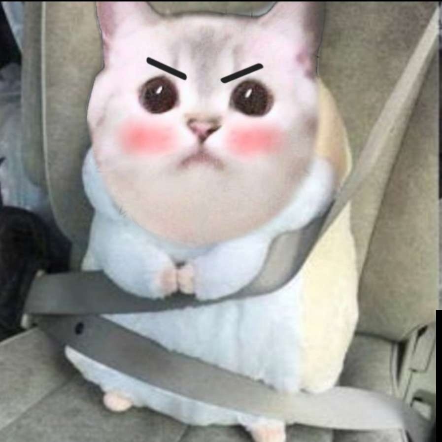 Nana (@NarukamiNanaCat) / Posts / X