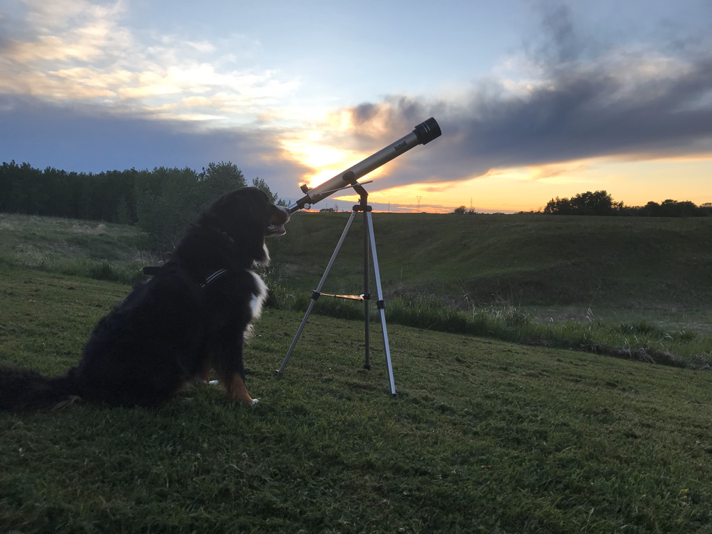 It's National Dark Sky Week!

WHAT IS A DARK SKY BUNSEN IT SOUNDS SO SPOOKY

Ok, I think it's time for a....

SCIENCE THREAD

#DarkSkyWeek

(THERE IS A SURPRISE AT THE END)