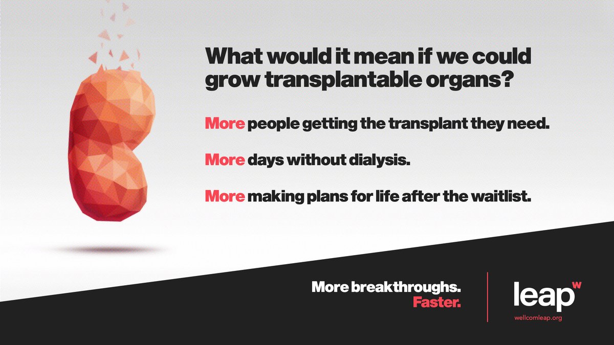 What if a global team of biologists and engineers could eliminate waiting lists? Forever. Follow the HOPE team on their journey to bioengineer change: bit.ly/40dlHi9 #DonateLifeMonth #morebreakthroughsfaster