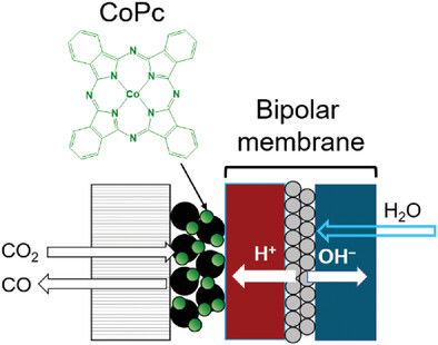 BhavinSiri's tweet photo. More CO2 reduction in bipolar membrane electrolyzers!

In my new paper, I show key strategies to improve the performance of bipolar membrane zero-gap cells:

https://t.co/gcqXEMeP7K

@CircularChem @AJCowanGroup @preetamksharma  @EileenYu_bes 
1/ https://t.co/ReByR4dvZY