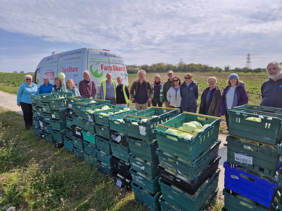 Thanks to our brilliant volunteers from Hythe and Deal on today's Cabbage Glean for <a href="/FareShareKent/">FareShare Kent</a> and local food charities nearly 900kgs collected @feedbackorg <a href="/FareShareUK/">FareShare</a>