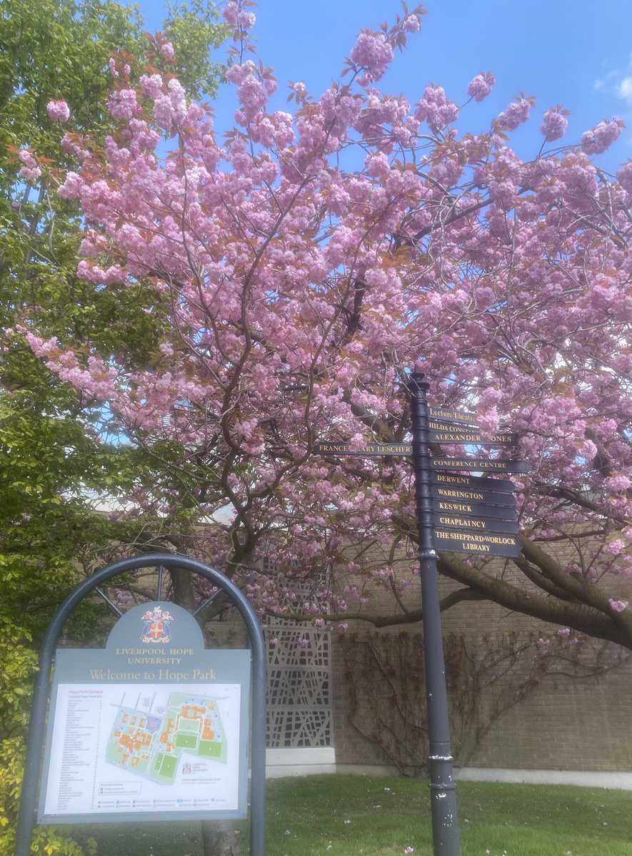lhulawcrim's tweet photo. What a beautiful spring day at Liverpool Hope Park Campus #liverpool #spring #Liverpoolhopeuniversity https://t.co/x69ejhOCHt