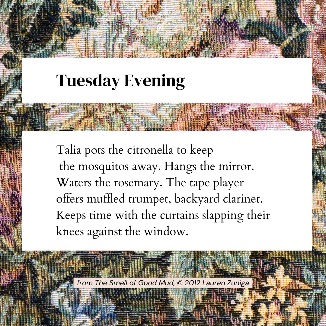 Lauren Brazzle Zuniga tweet media