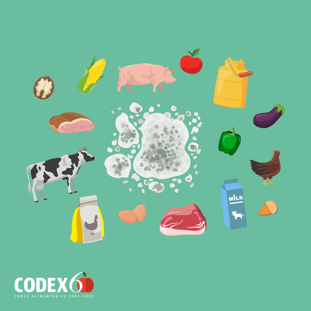 FAOWHOCodex's tweet photo. 📝 | Mycotoxins are toxic compounds that are naturally produced by certain types of moulds.
👉Exposure to mycotoxins can happen either directly by eating infected food or indirectly from animals that are fed contaminated feed in particular from milk.
#CCCF16 | #FoodSafety https://t.co/GVQ8T92y4X
