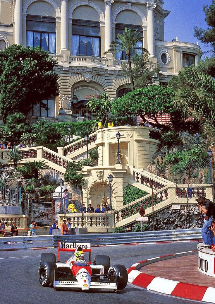 Rei de Mônaco 👑.