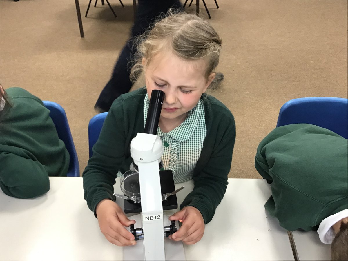 Quethiock CE School tweet media