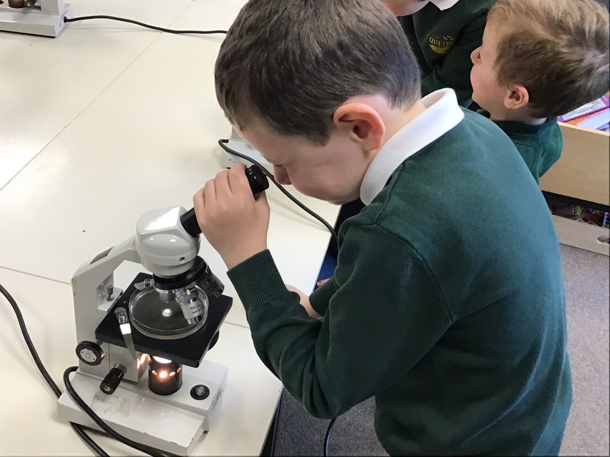 Quethiock CE School tweet media