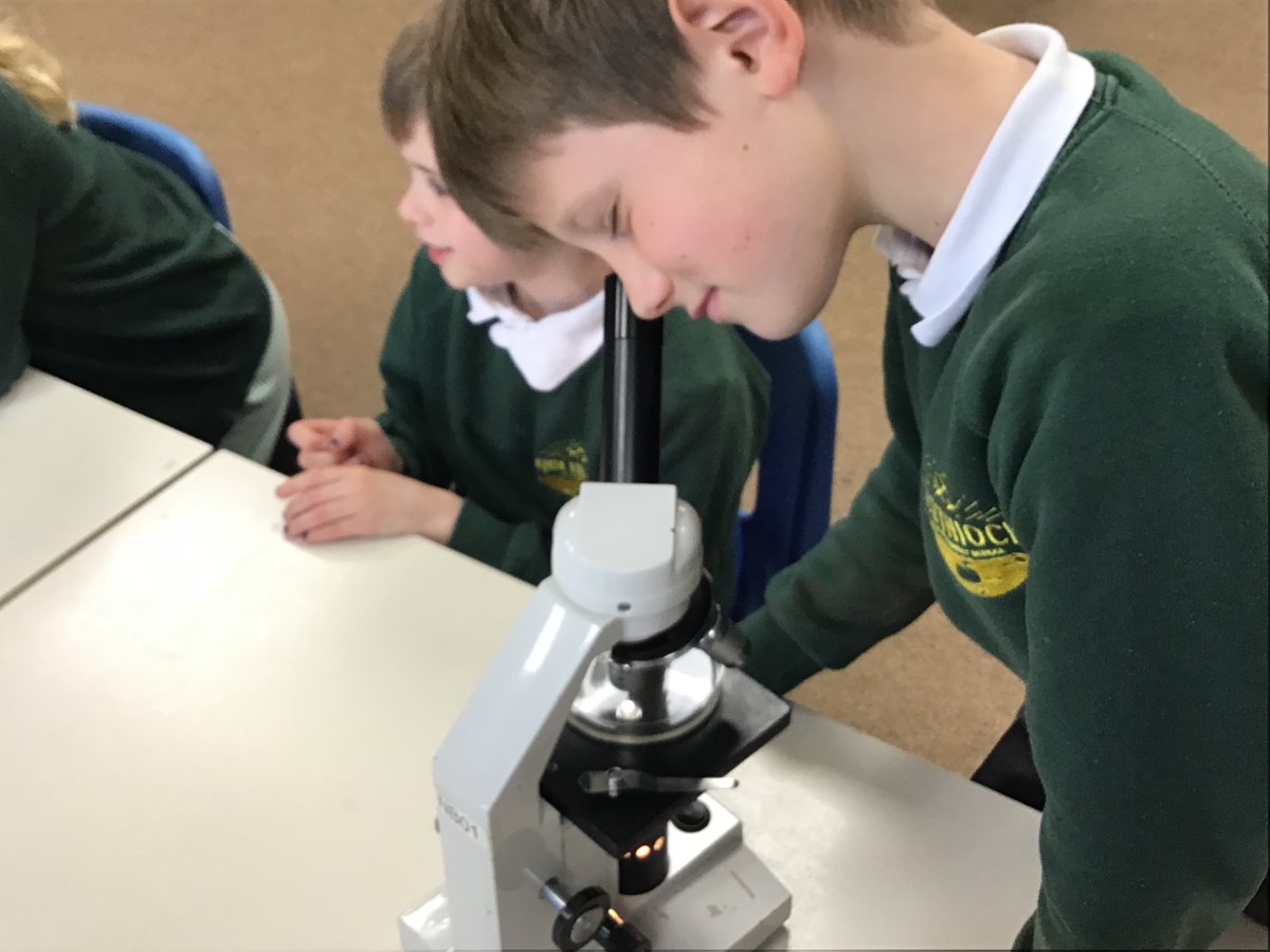 Quethiock CE School tweet media